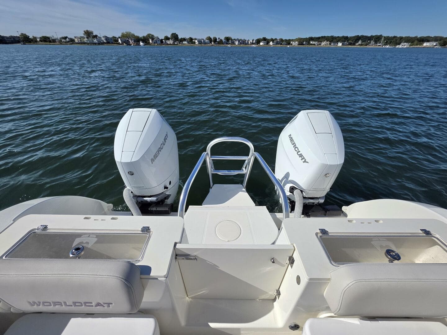 2024 World Cat — photo 11