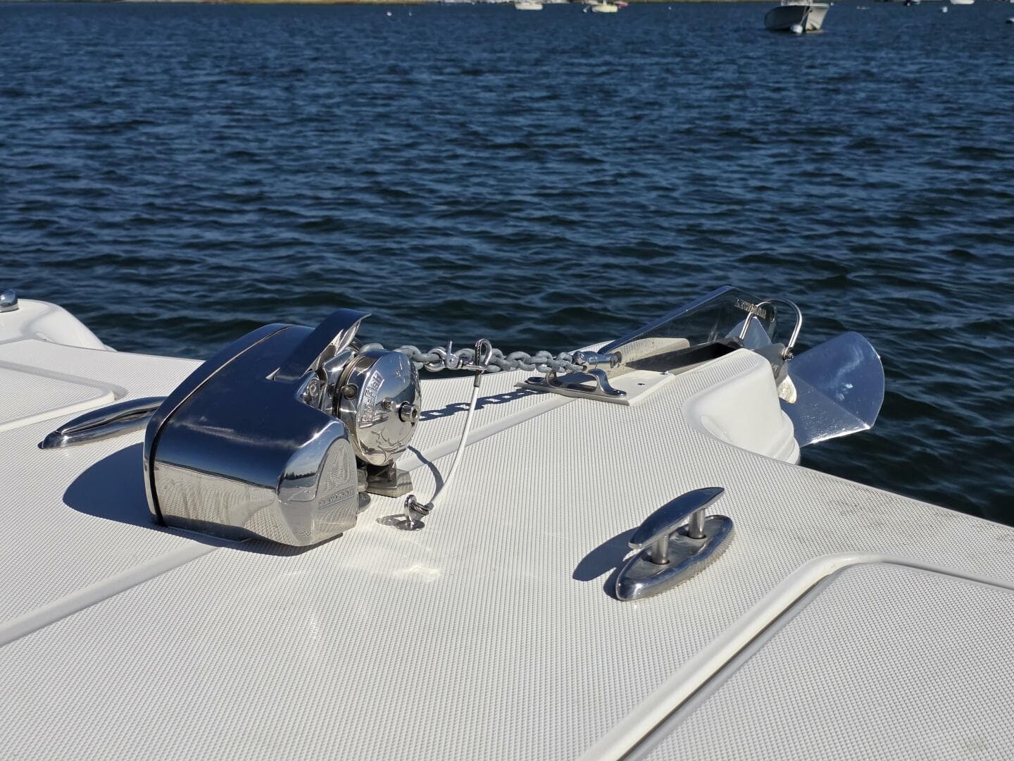 2024 World Cat — photo 16