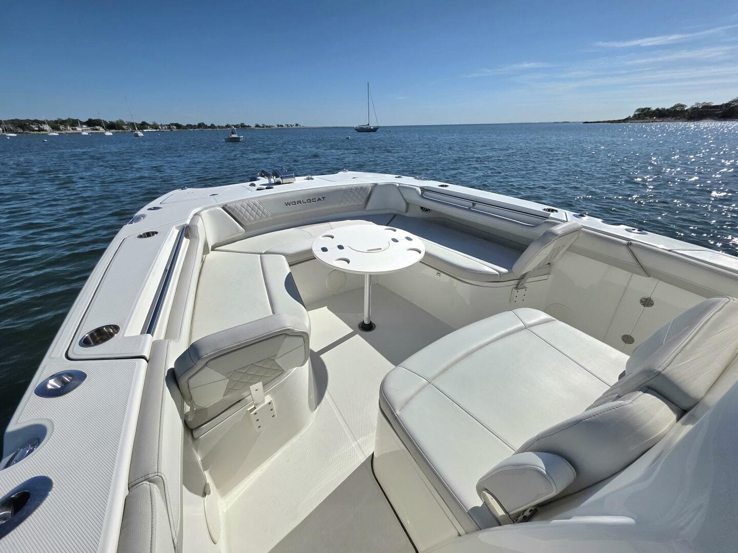 2024 World Cat — photo 15