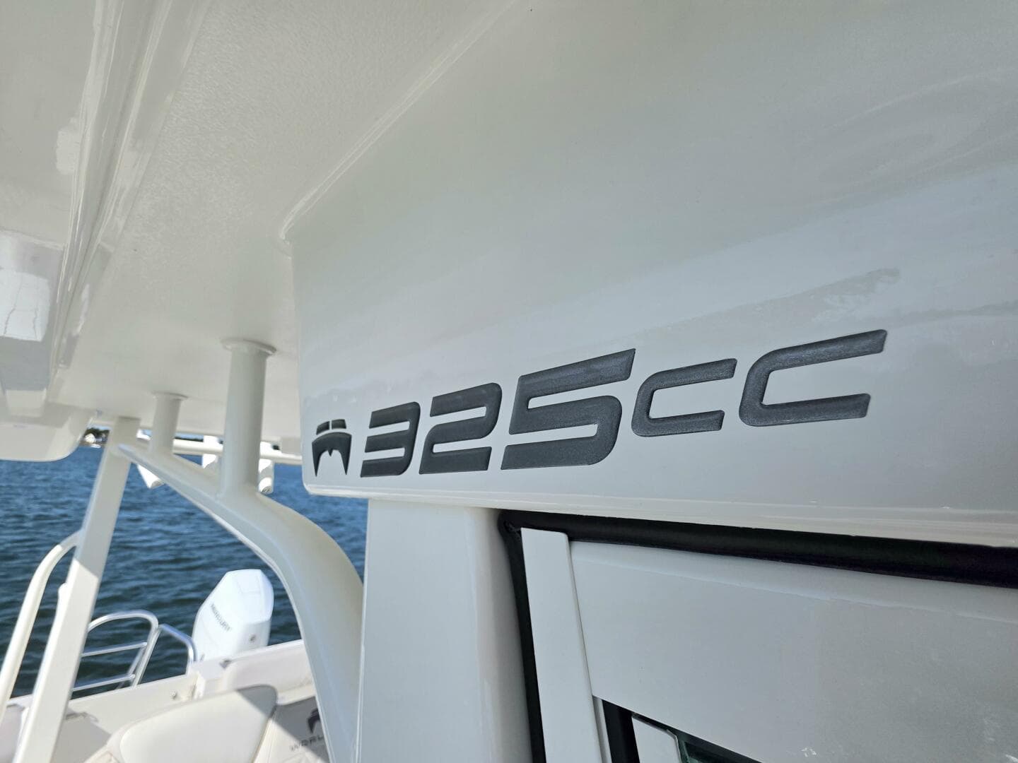 2024 World Cat — photo 20