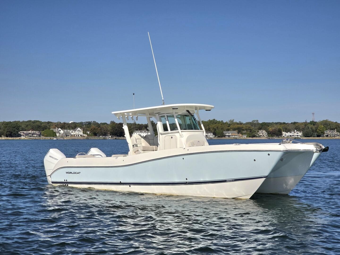 2024 World Cat — photo 4