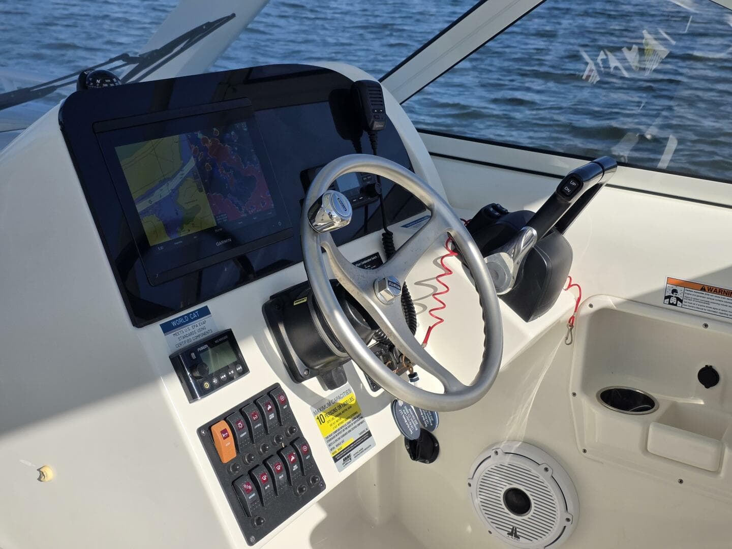 2022 World Cat — photo 18