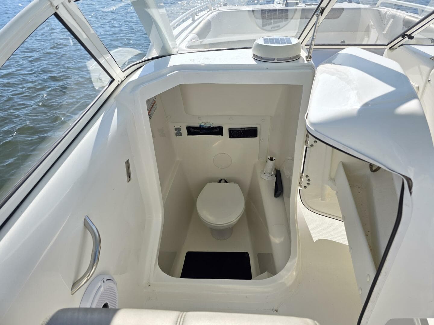 2022 World Cat — photo 32