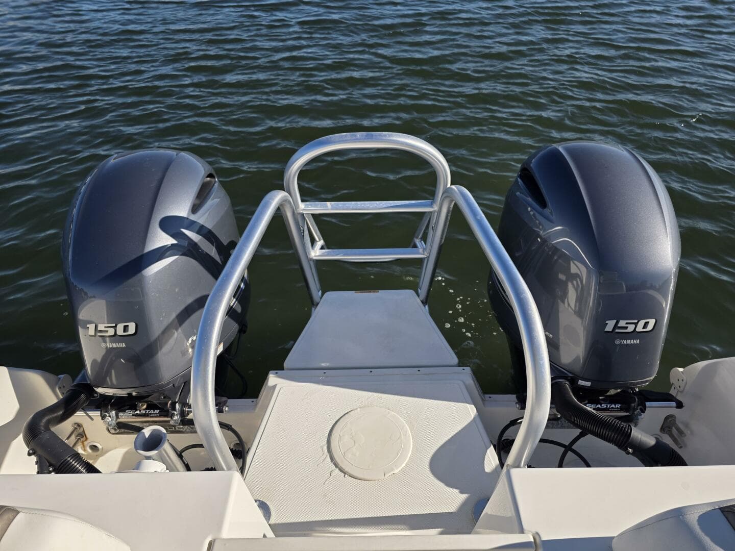 2022 World Cat — photo 13