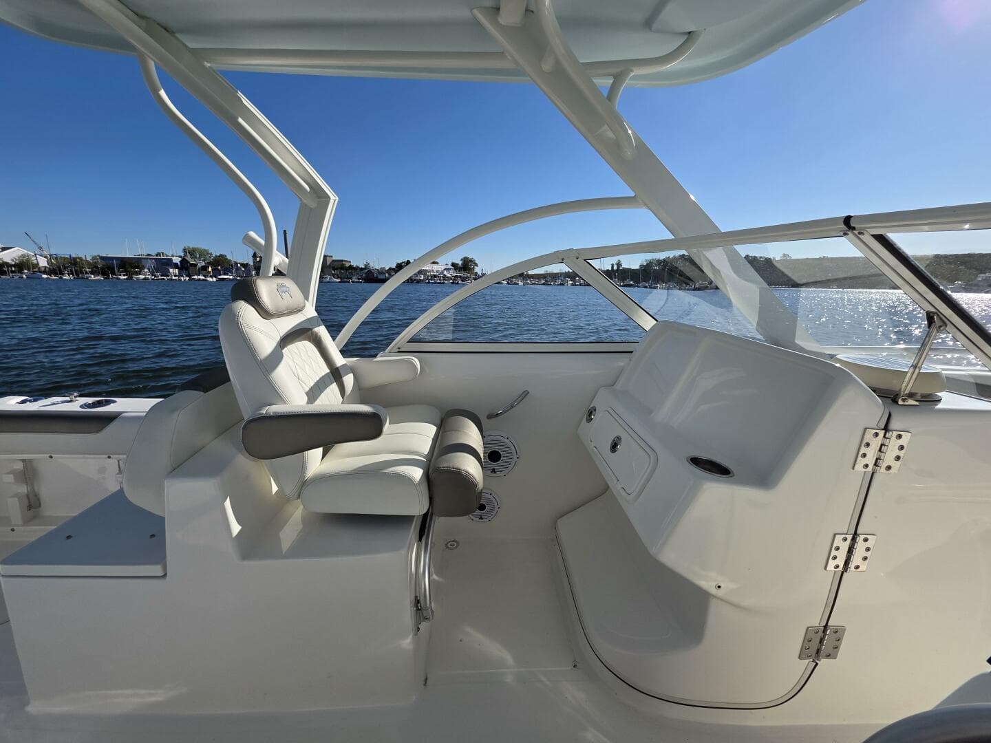 2022 World Cat — photo 17