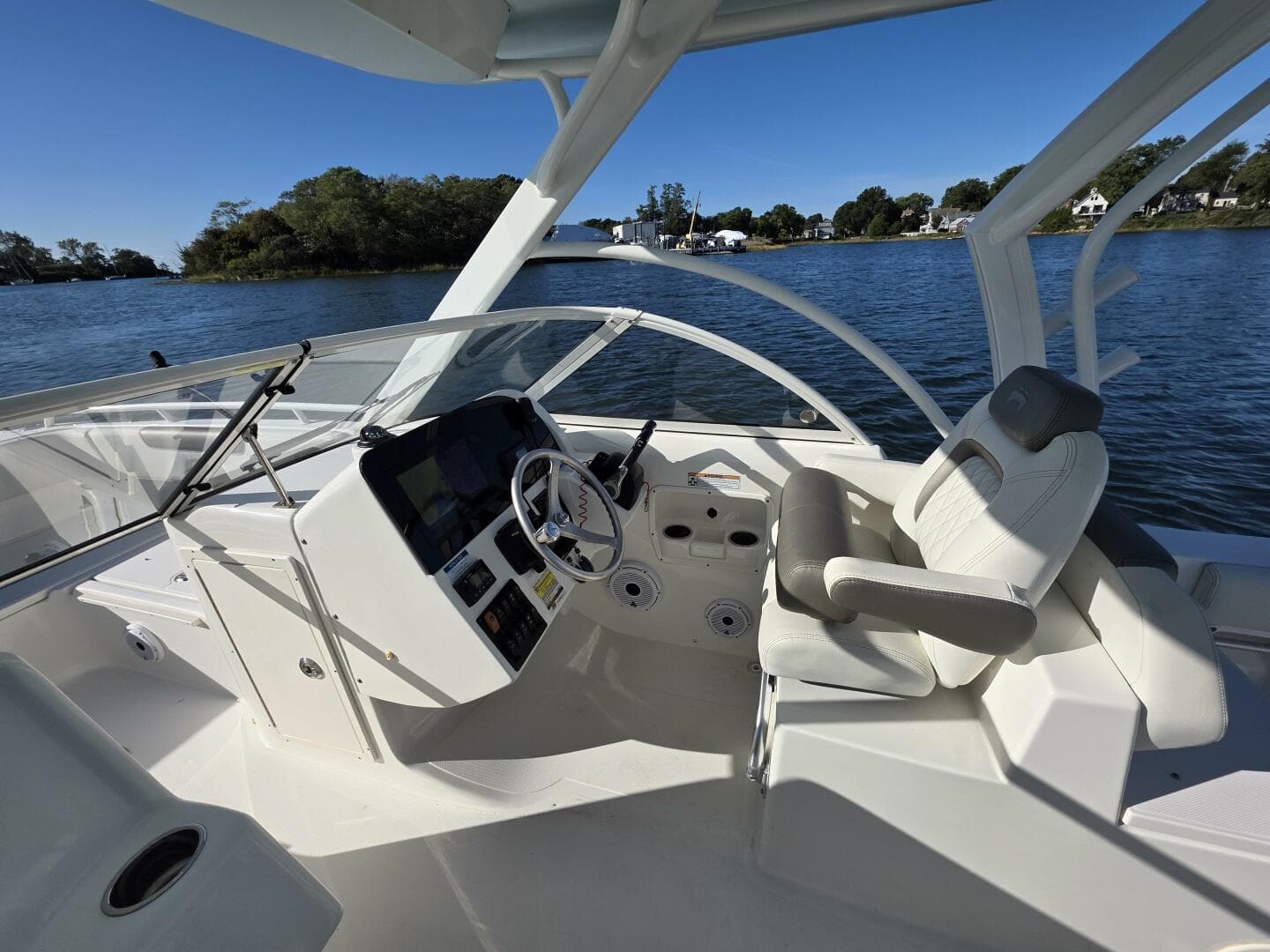 2022 World Cat — photo 23