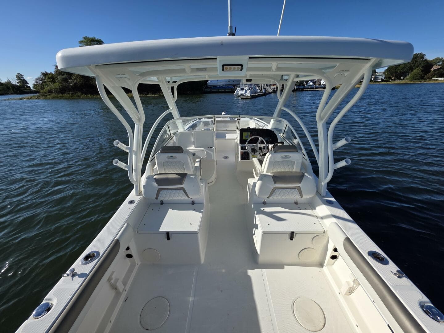 2022 World Cat — photo 11