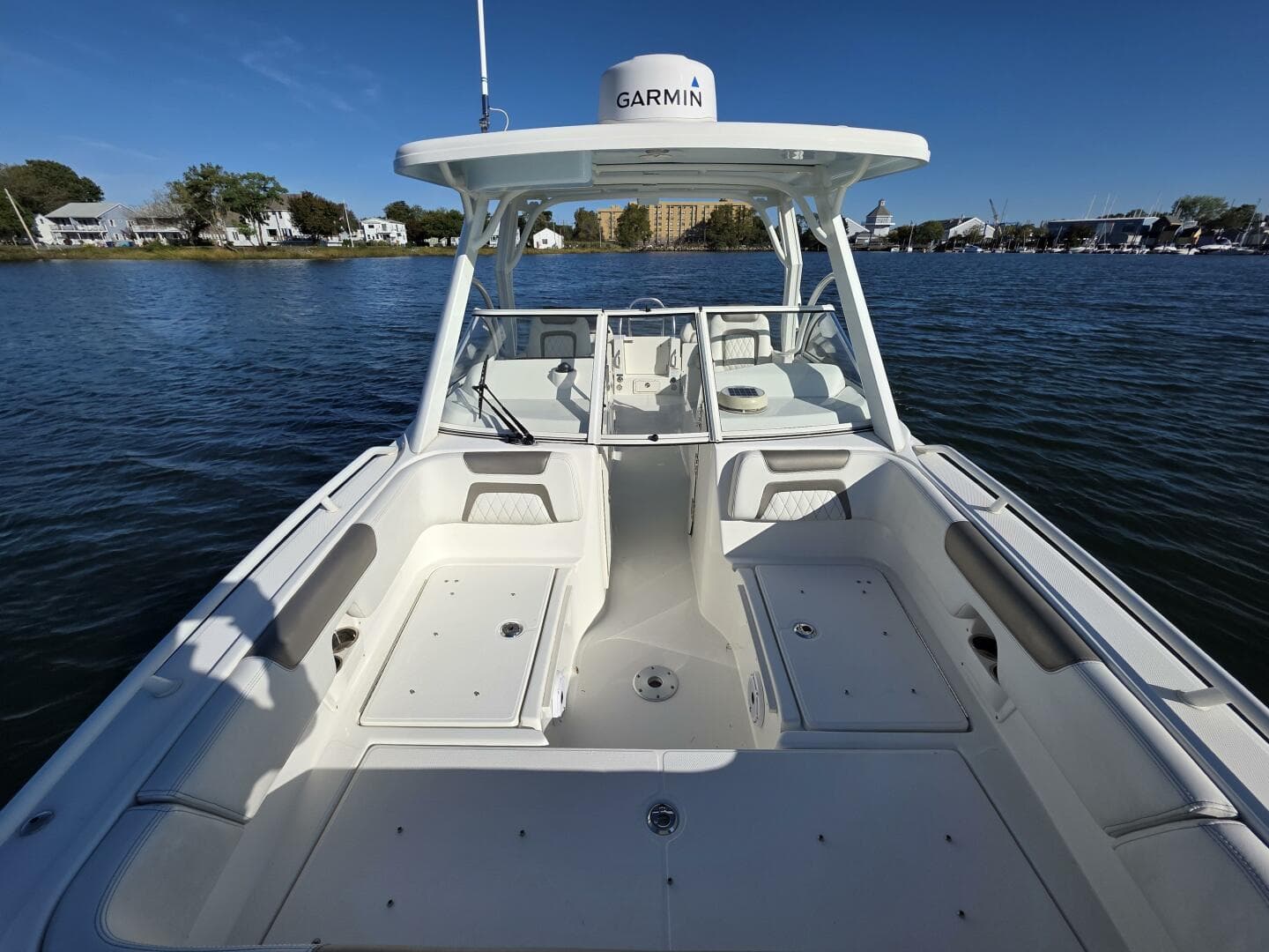 2022 World Cat — photo 16