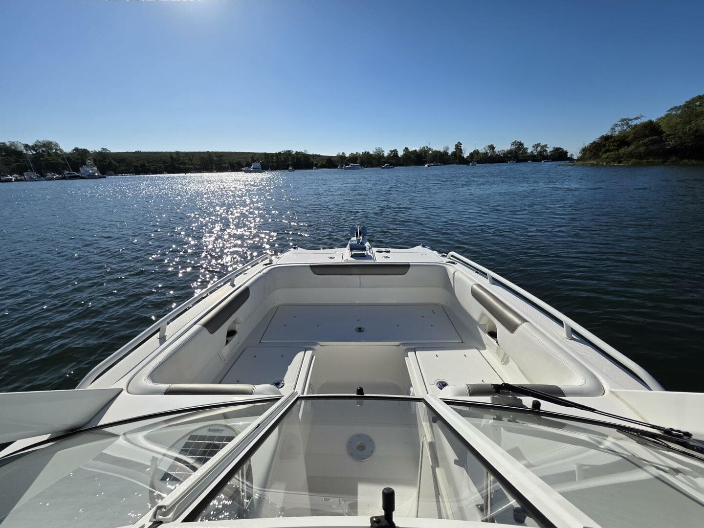 2022 World Cat — photo 26