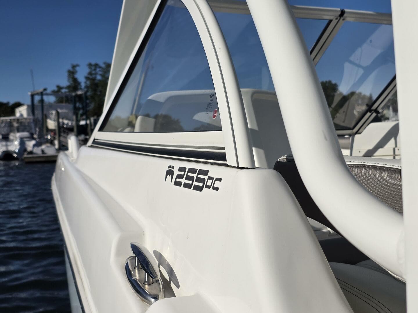 2022 World Cat — photo 14