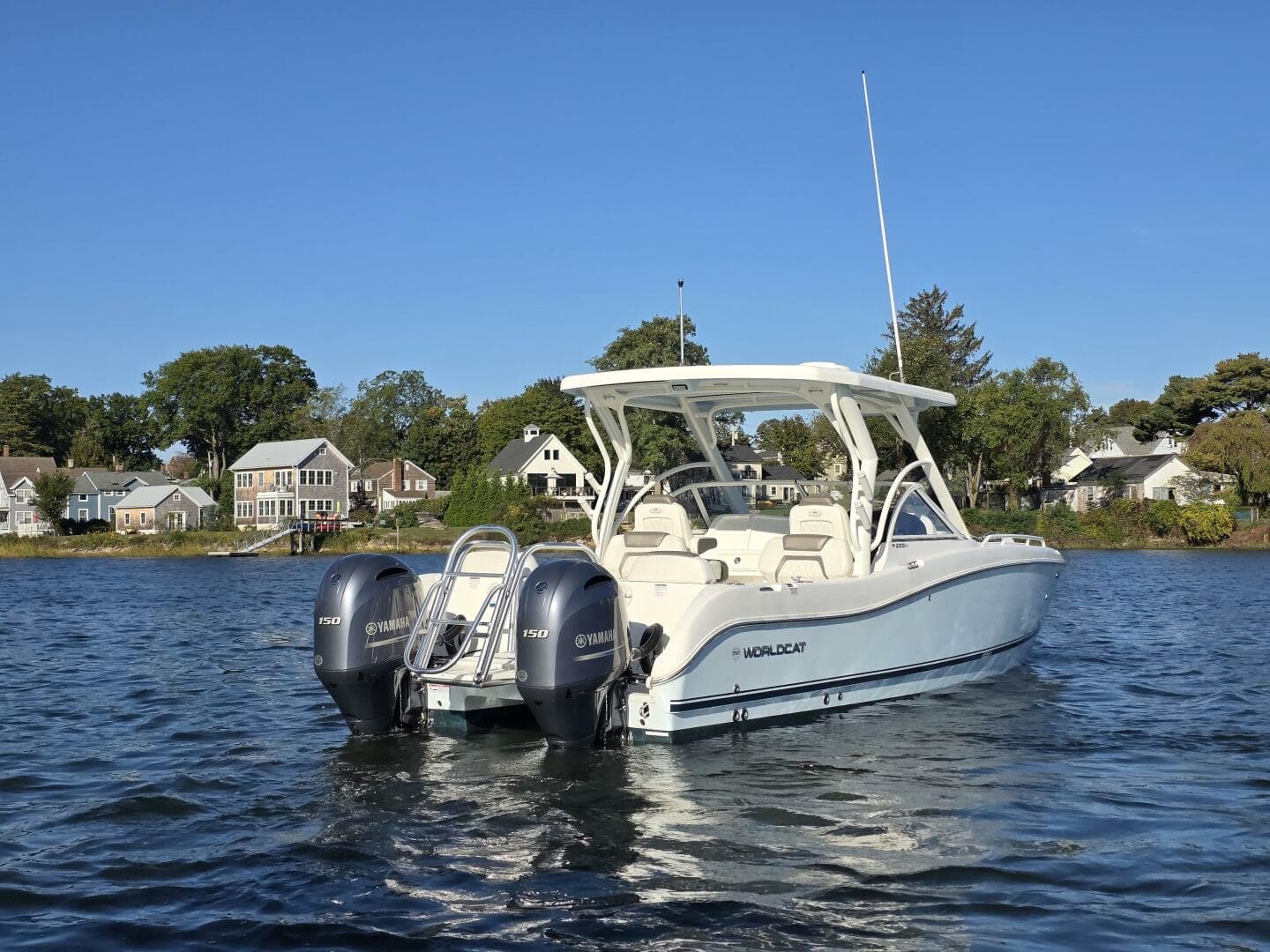 2022 World Cat — photo 6