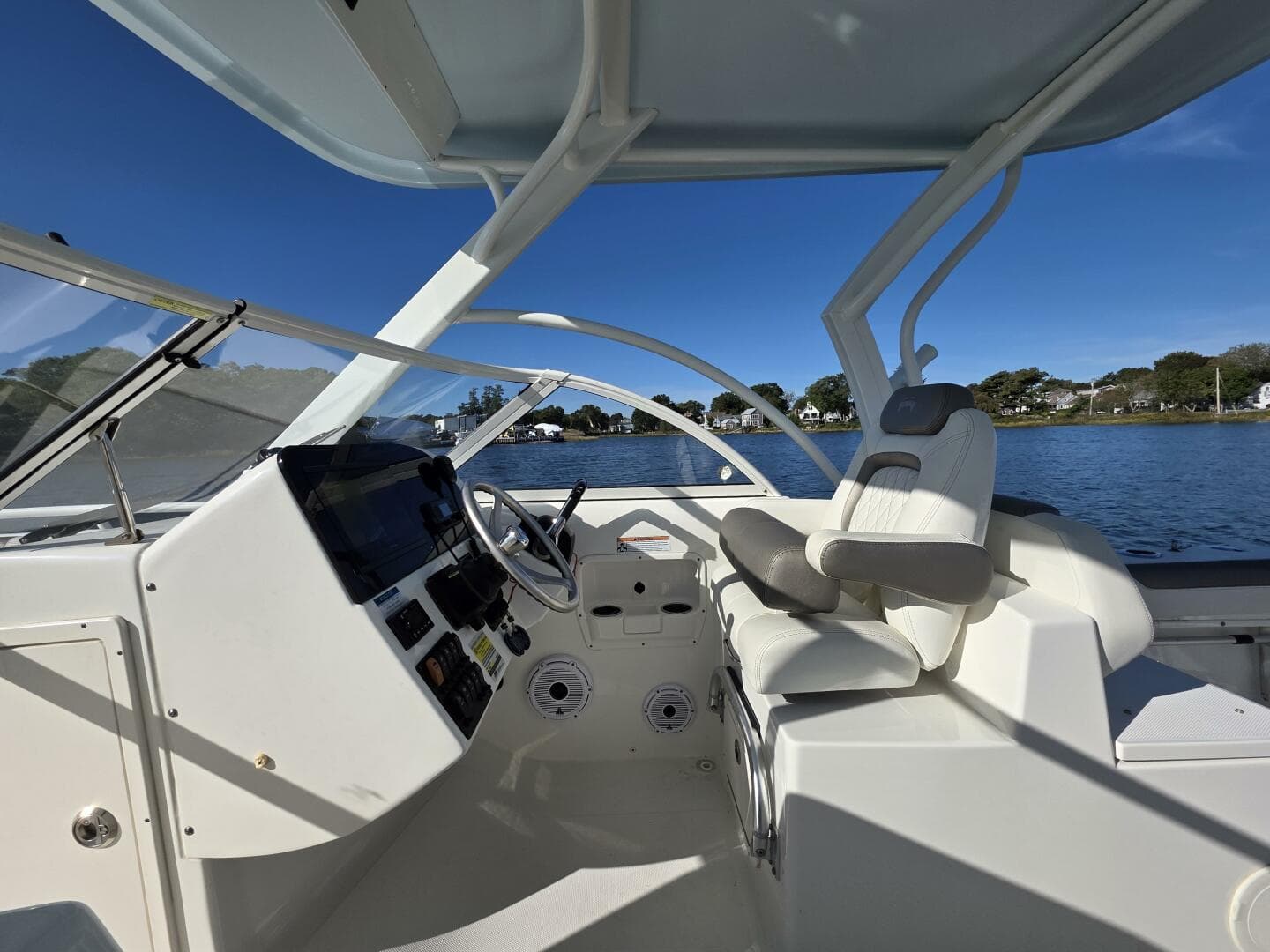 2022 World Cat — photo 22