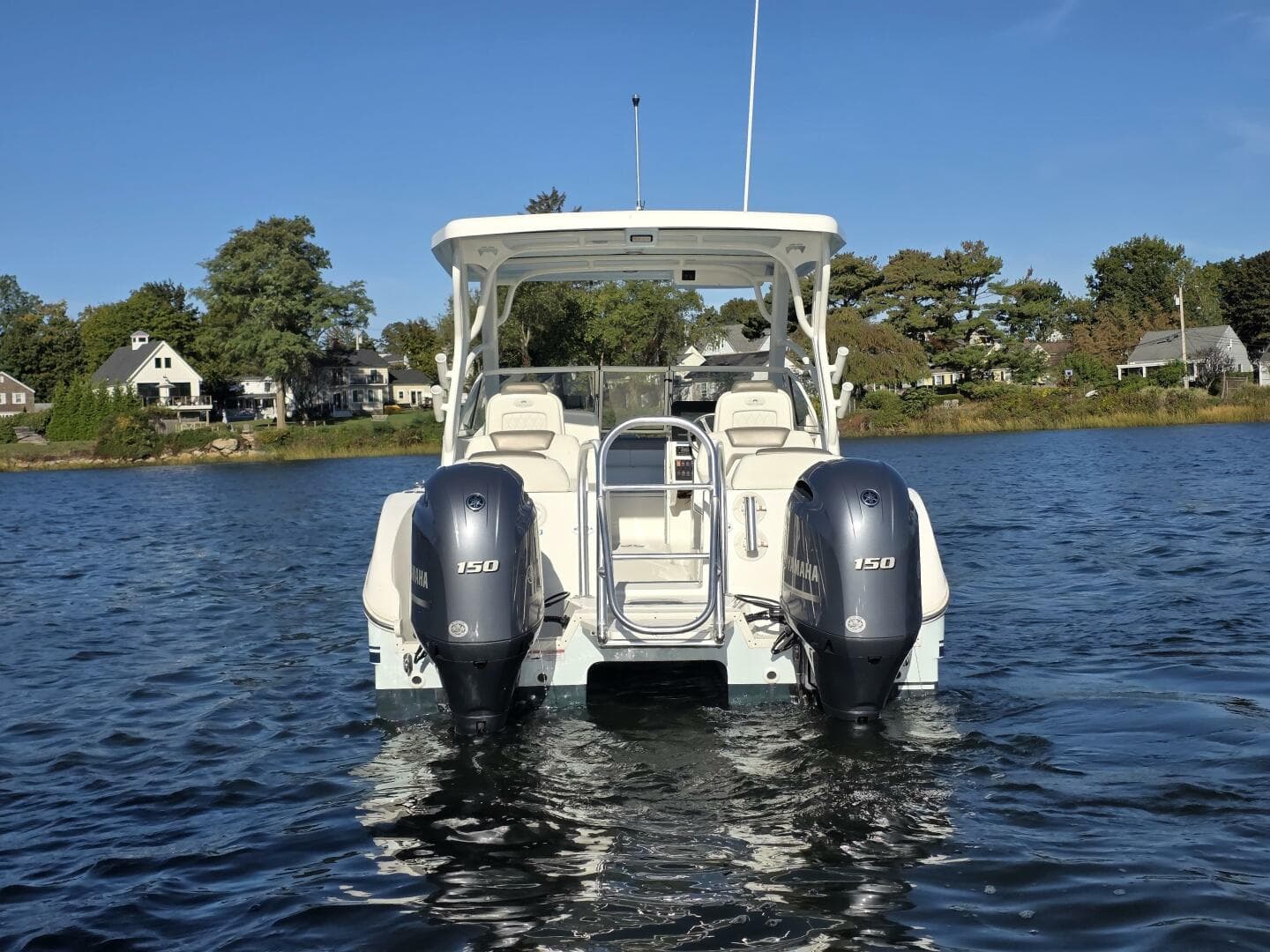 2022 World Cat — photo 5