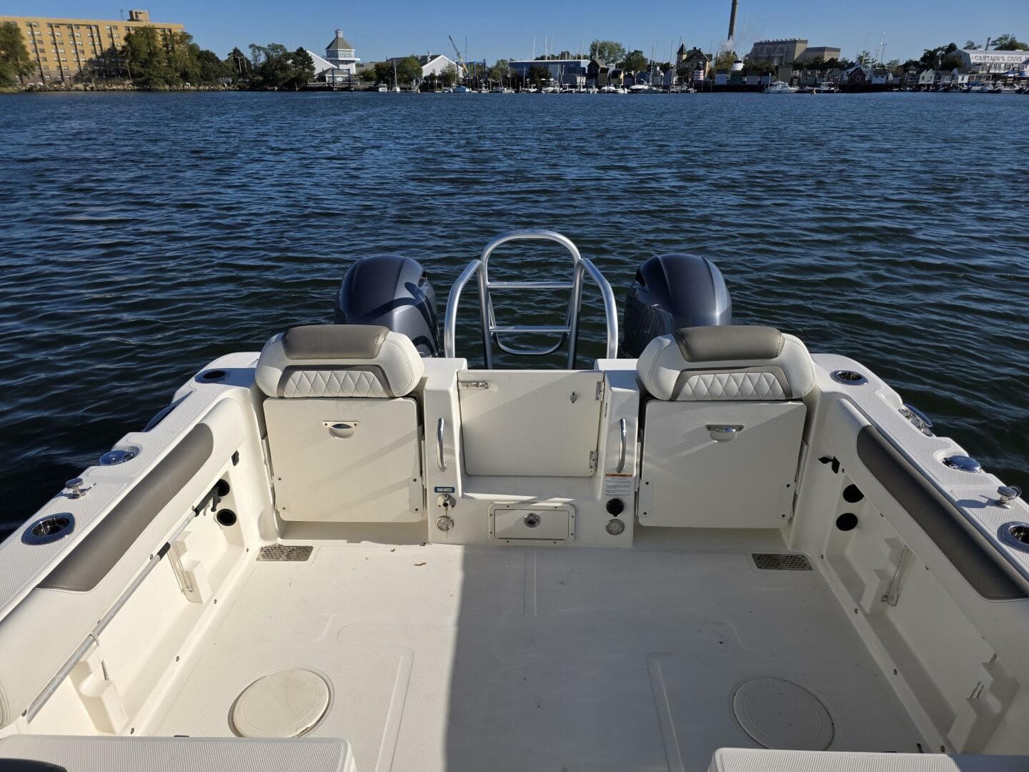 2022 World Cat — photo 12