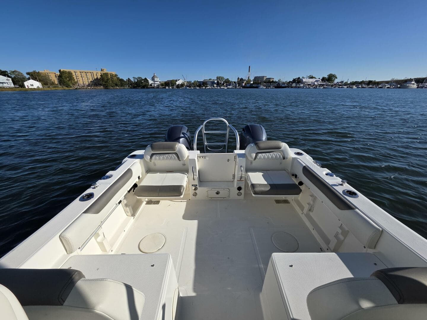 2022 World Cat — photo 10