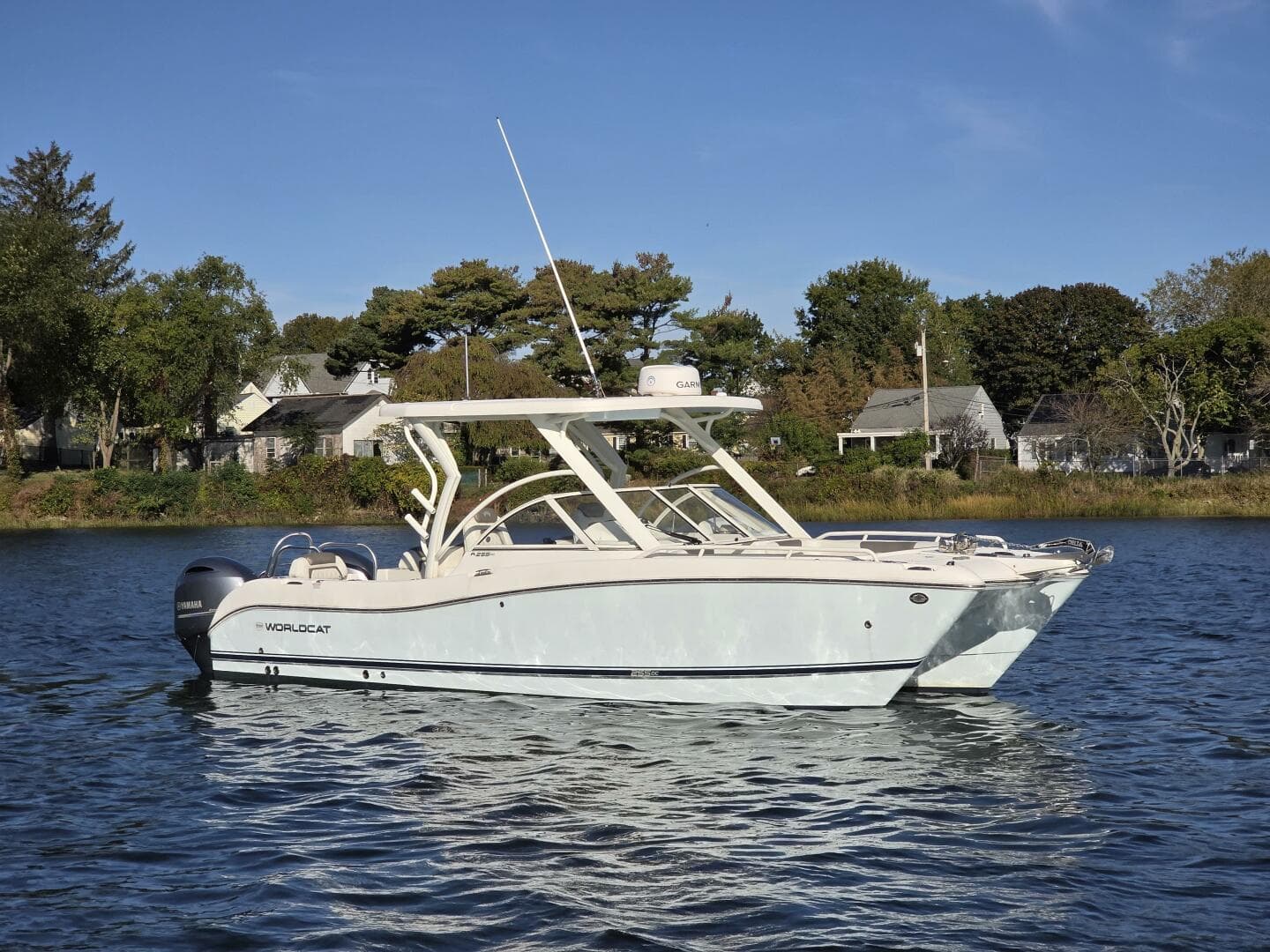 2022 World Cat — photo 8