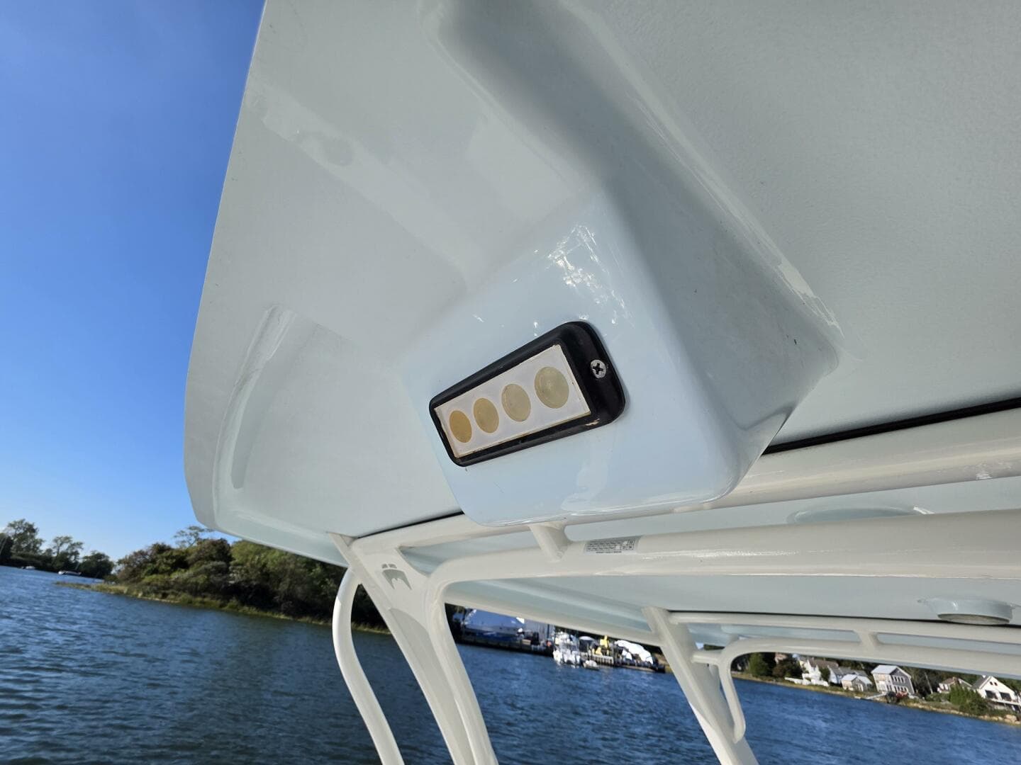 2022 World Cat — photo 19