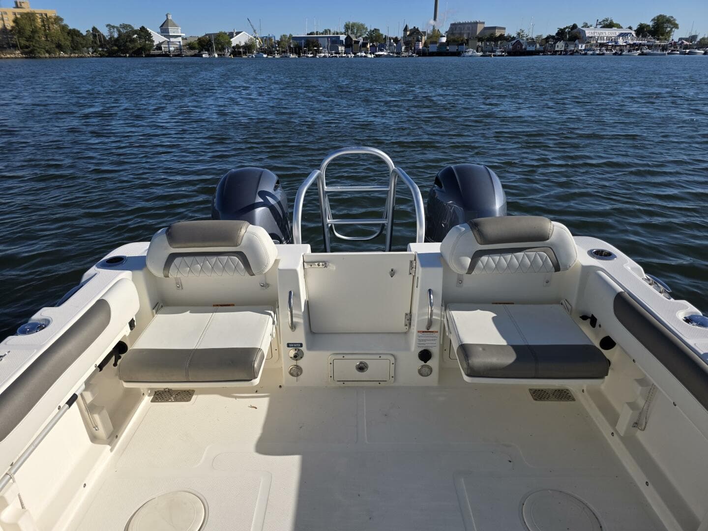 2022 World Cat — photo 9