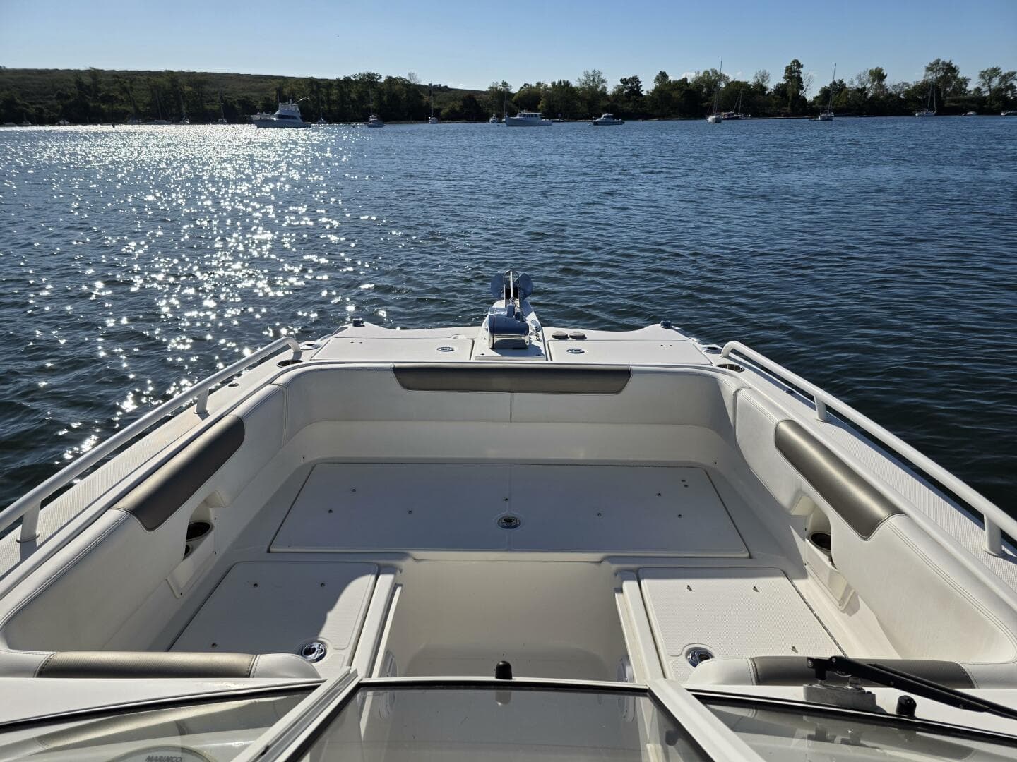 2022 World Cat — photo 27