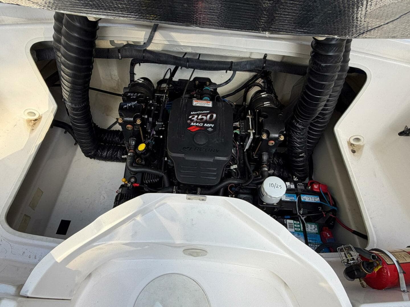 2008 Regal 2450 Cuddy — photo 20