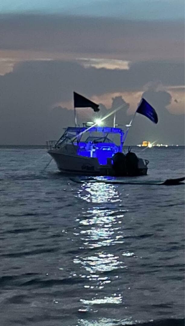 2000 Wellcraft 290 Coastal — photo 6