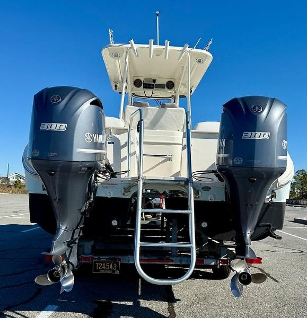 2017 World Cat 295 CC — photo 31