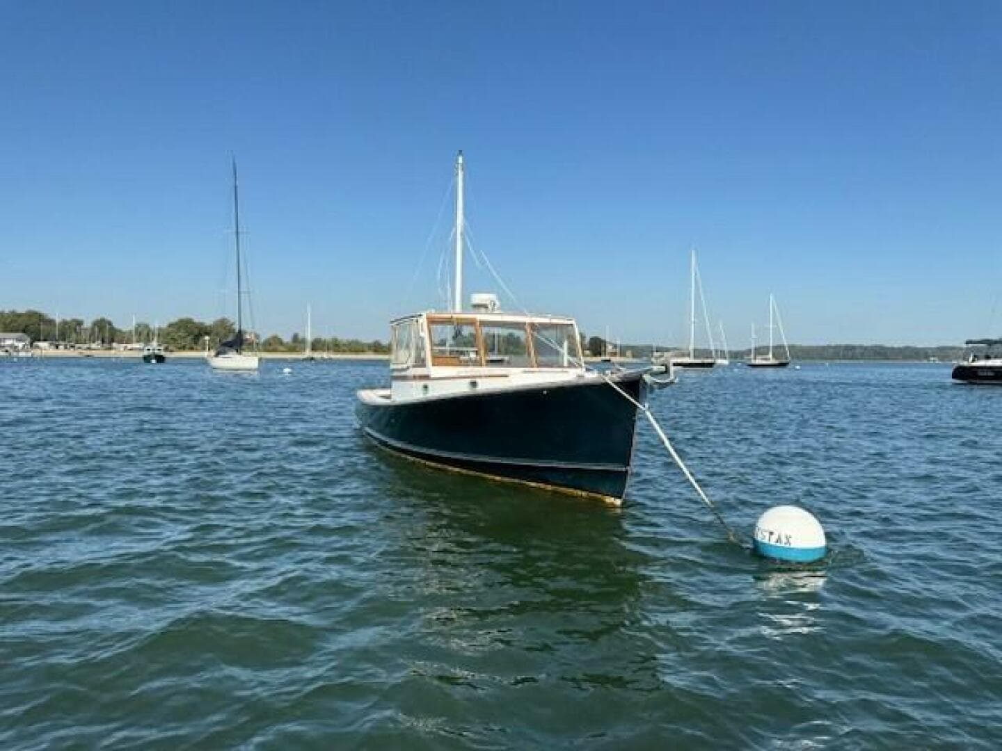 1975 Jarvis Newman — photo 5