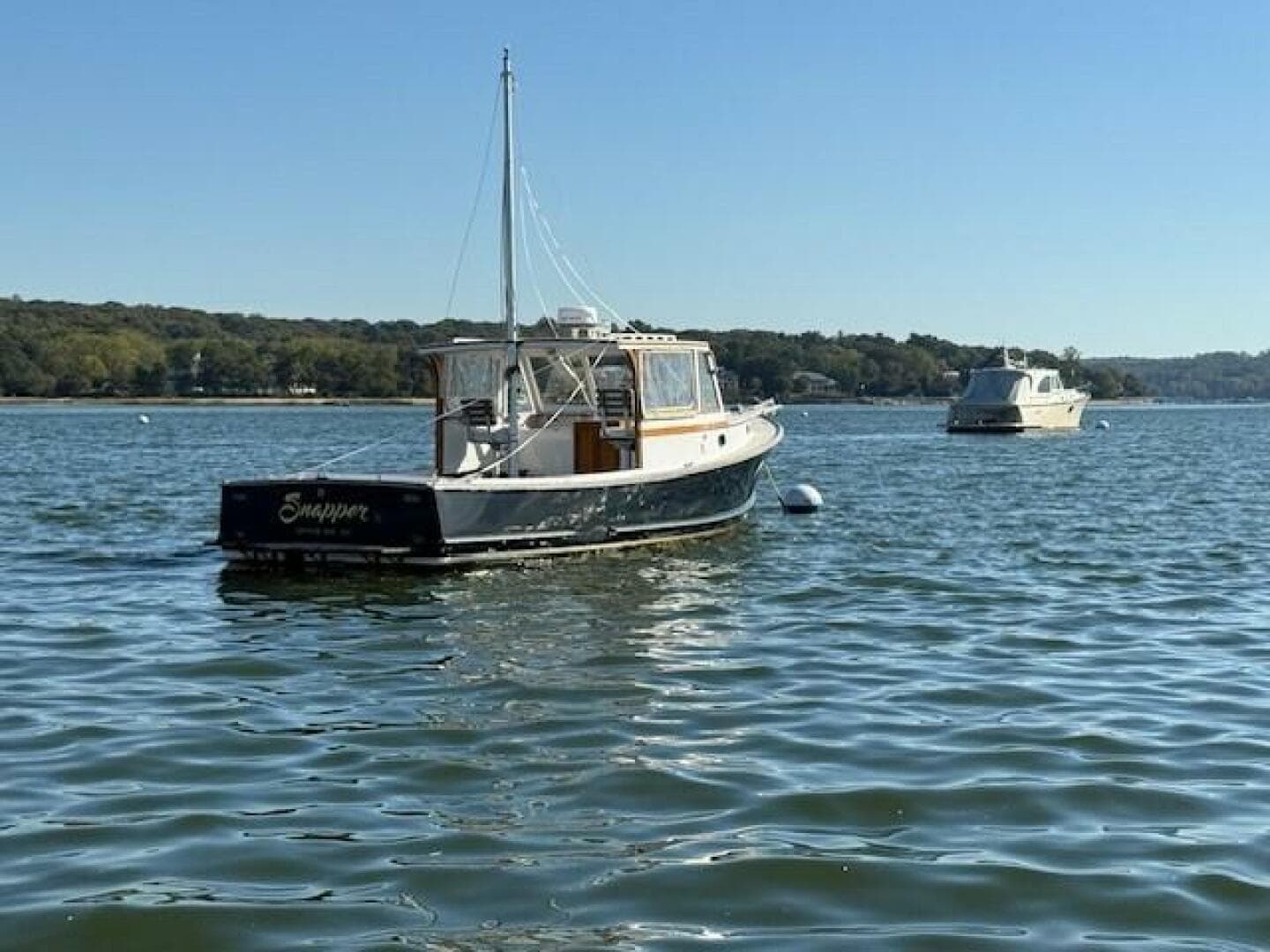 1975 Jarvis Newman — photo 3