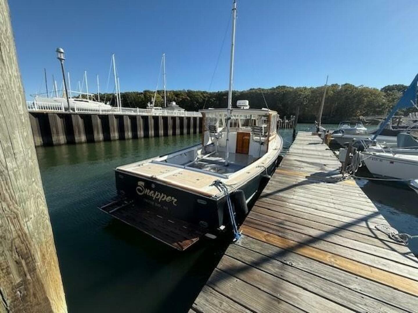 1975 Jarvis Newman — photo 27