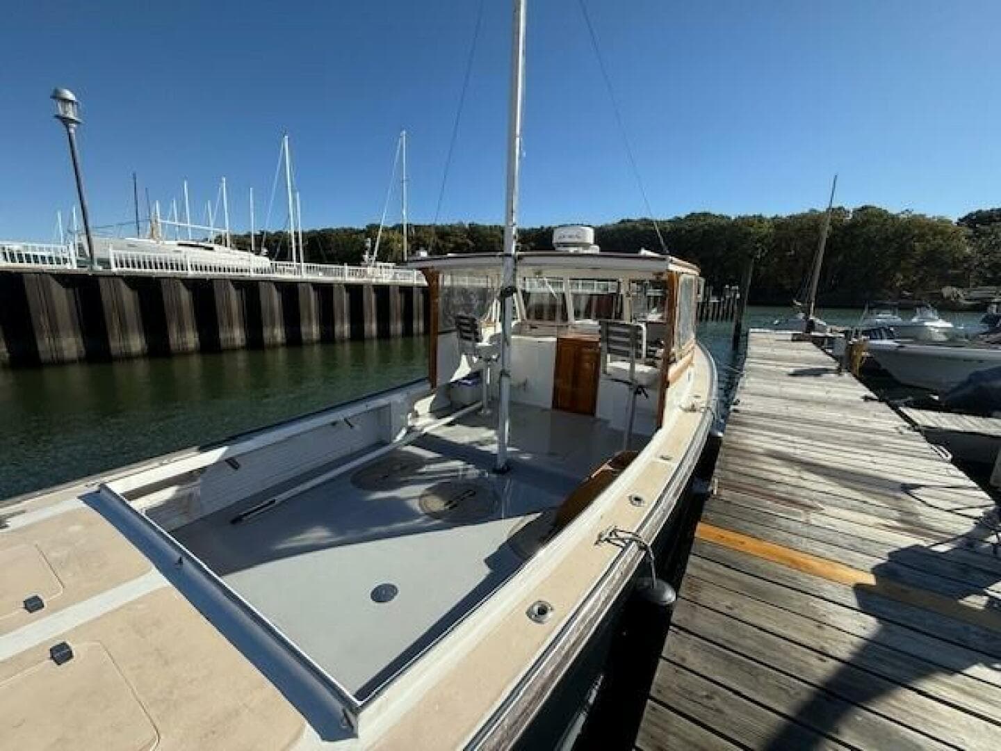 1975 Jarvis Newman — photo 28