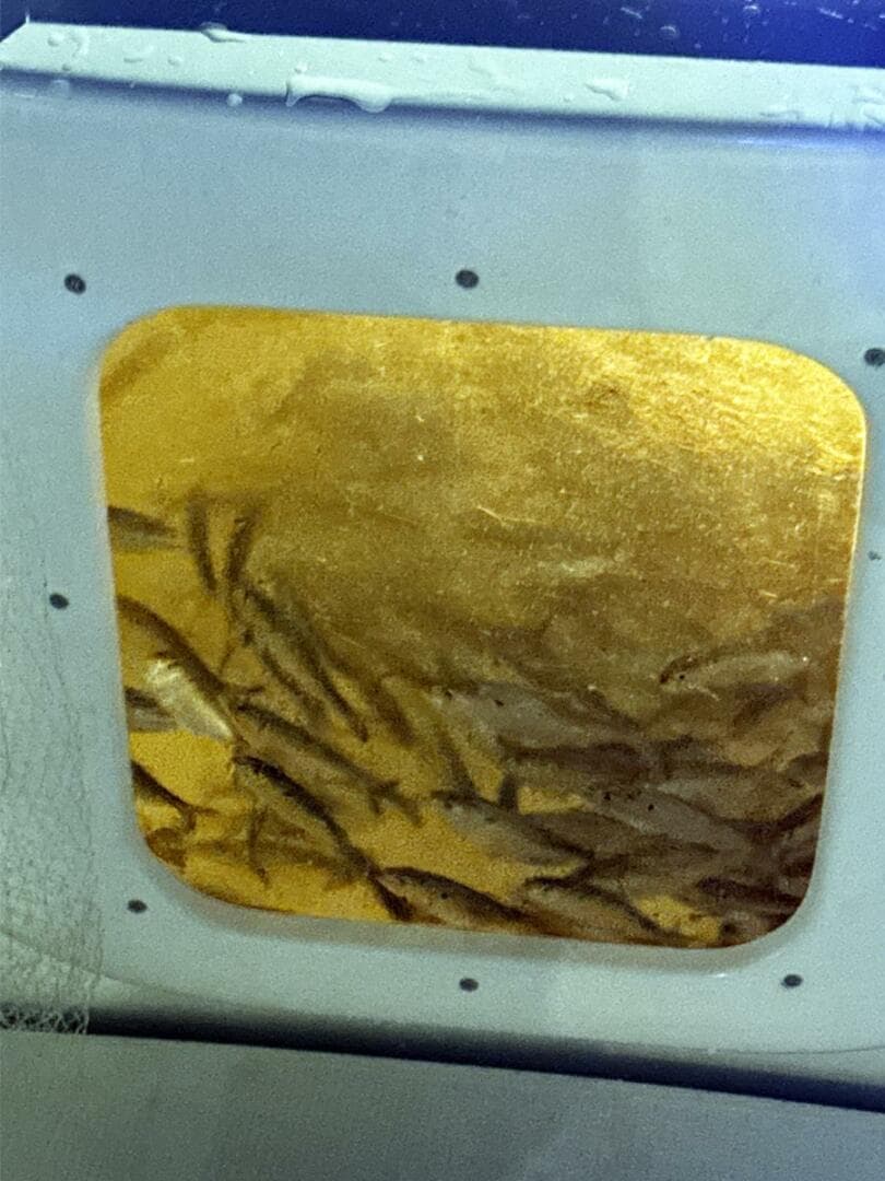 2004 Riviera 40 Sportfish — photo 43