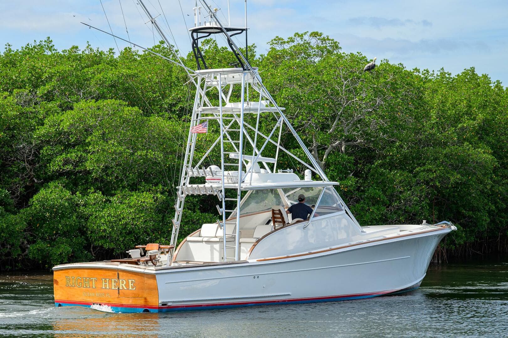 2014 Release Walk Around — photo 31