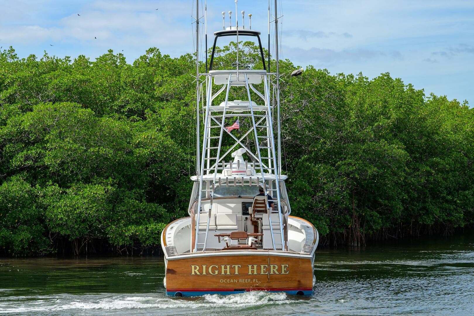 2014 Release Walk Around — photo 30