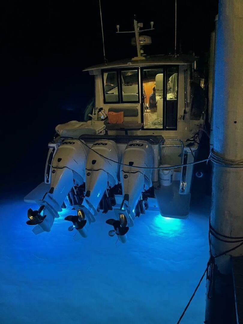 2021 Back Cove 390 — photo 2