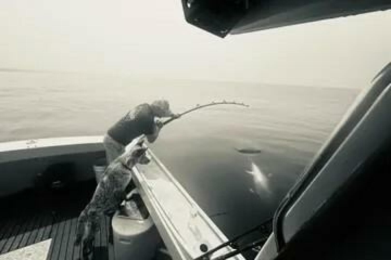 1981 Holland 32 Sport Cruiser — photo 11