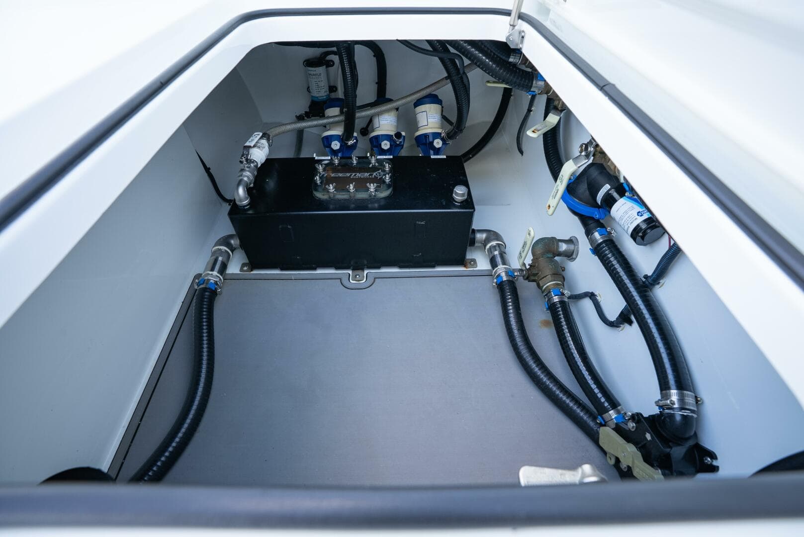 2023 Freeman 43 — photo 15