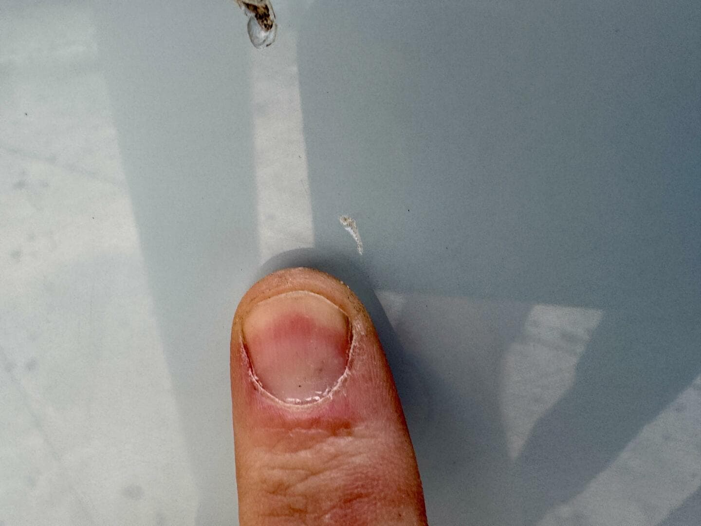 2022 Cobia 280 DC — photo 147