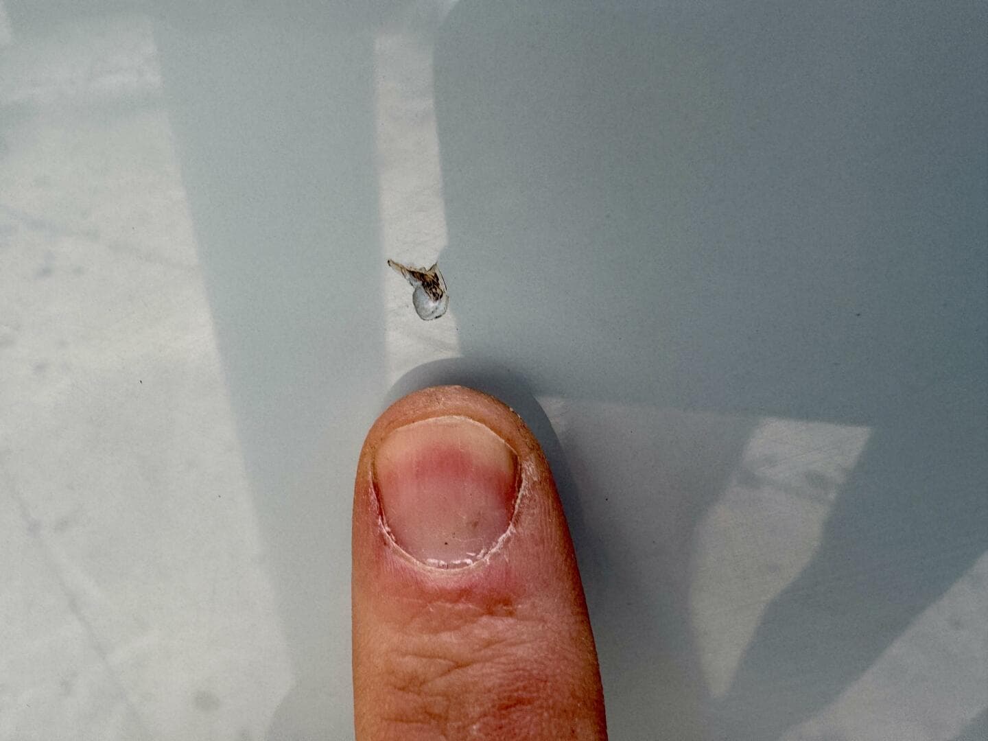 2022 Cobia 280 DC — photo 146