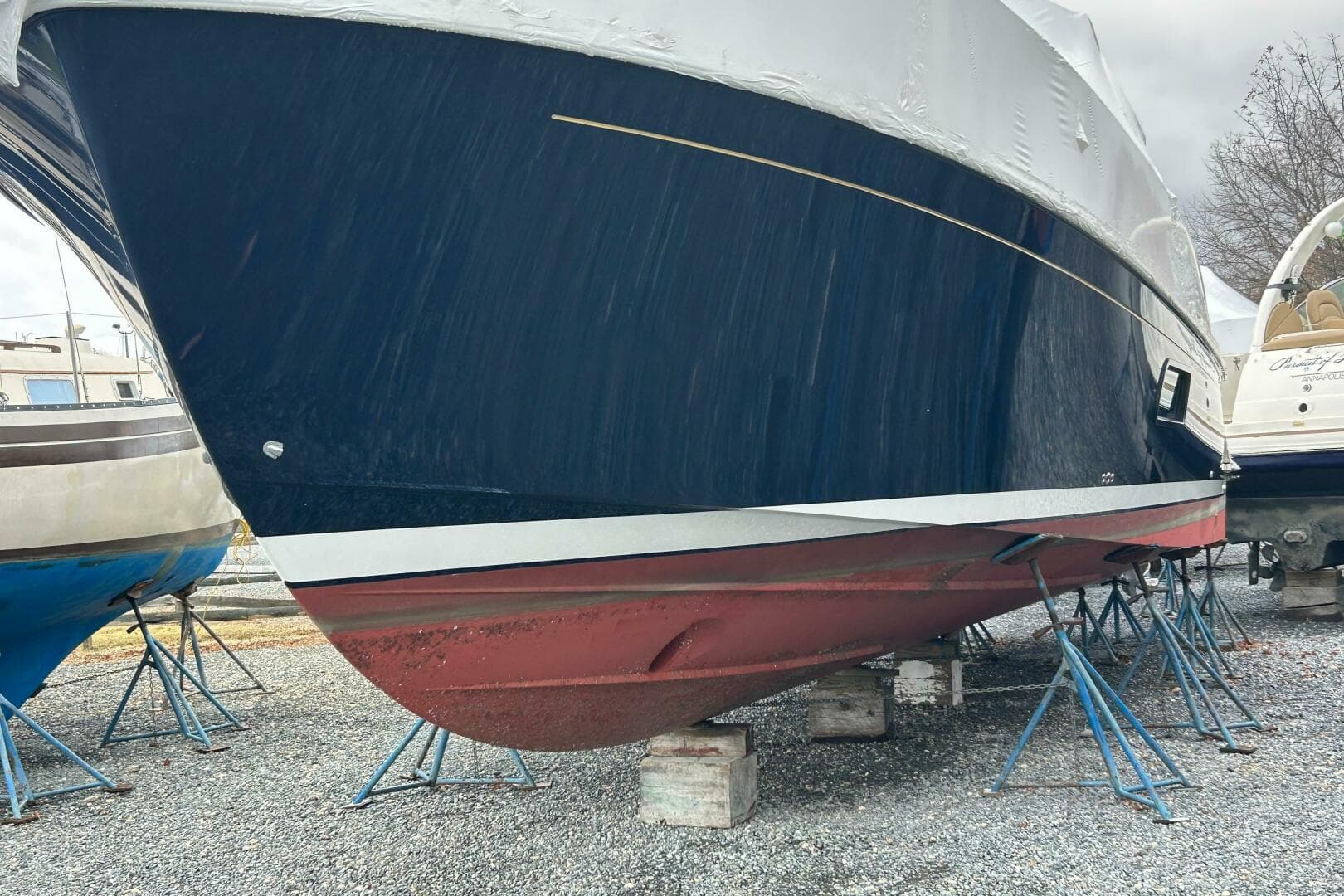 2023 Back Cove 39O — photo 6