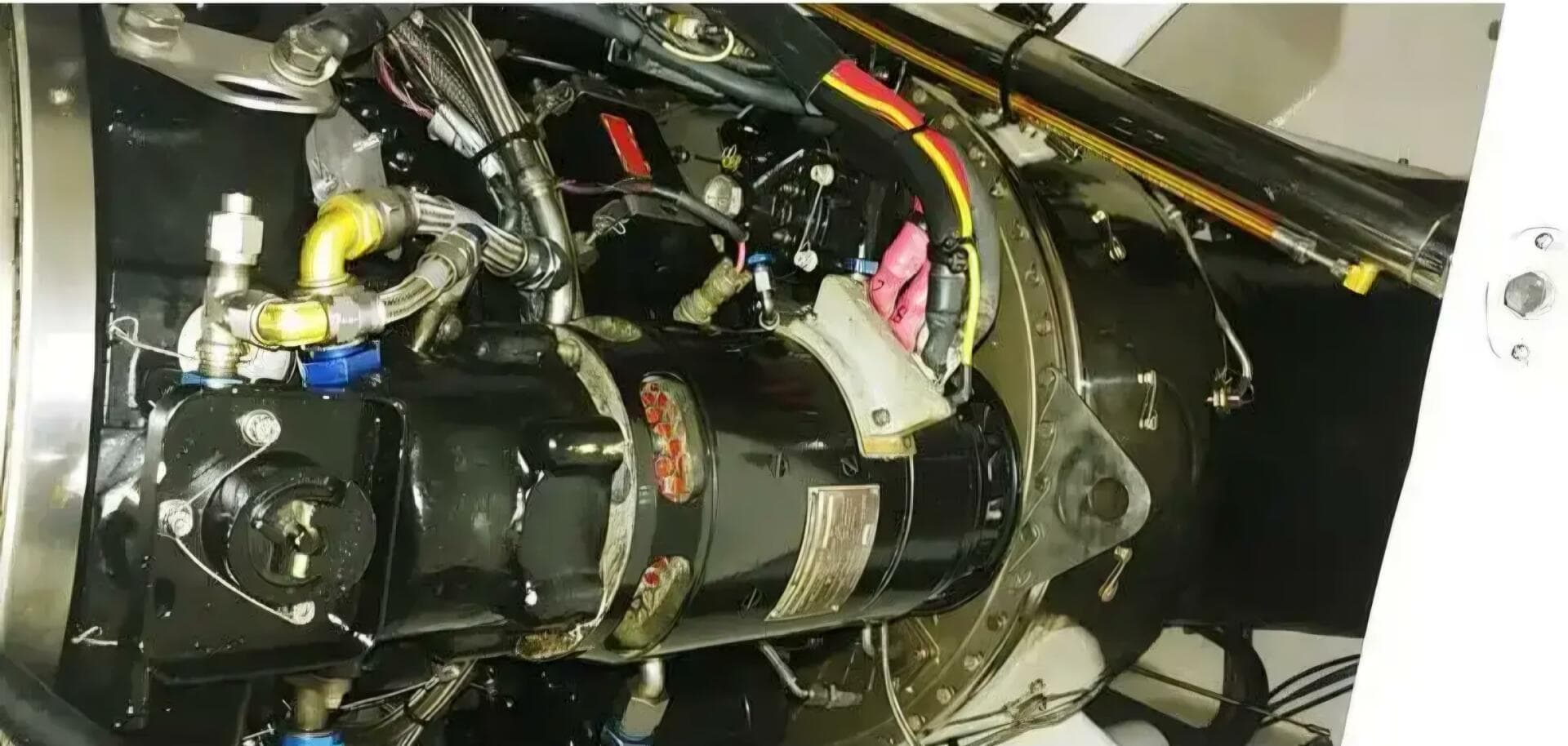 2020 Skater 50 — photo 19