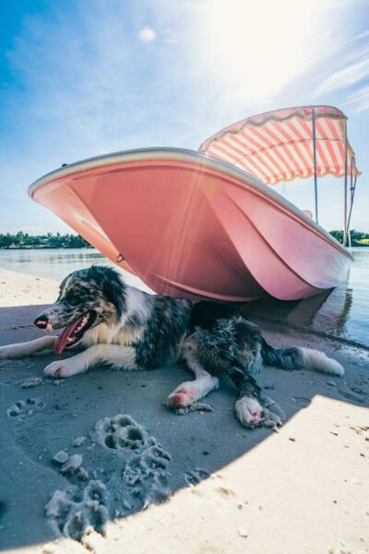 2026 Custom Palm Yachts 17 — photo 17