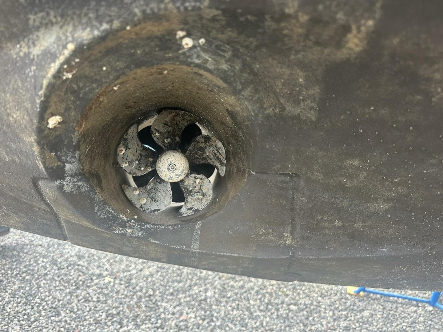 2020 Prestige 460S — photo 49