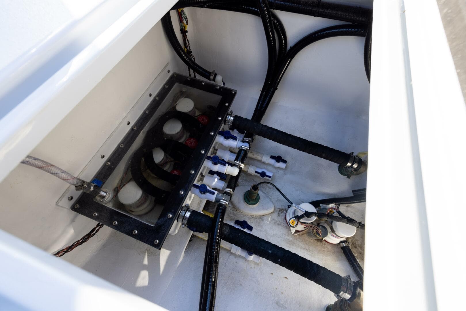 2025 Conch — photo 79