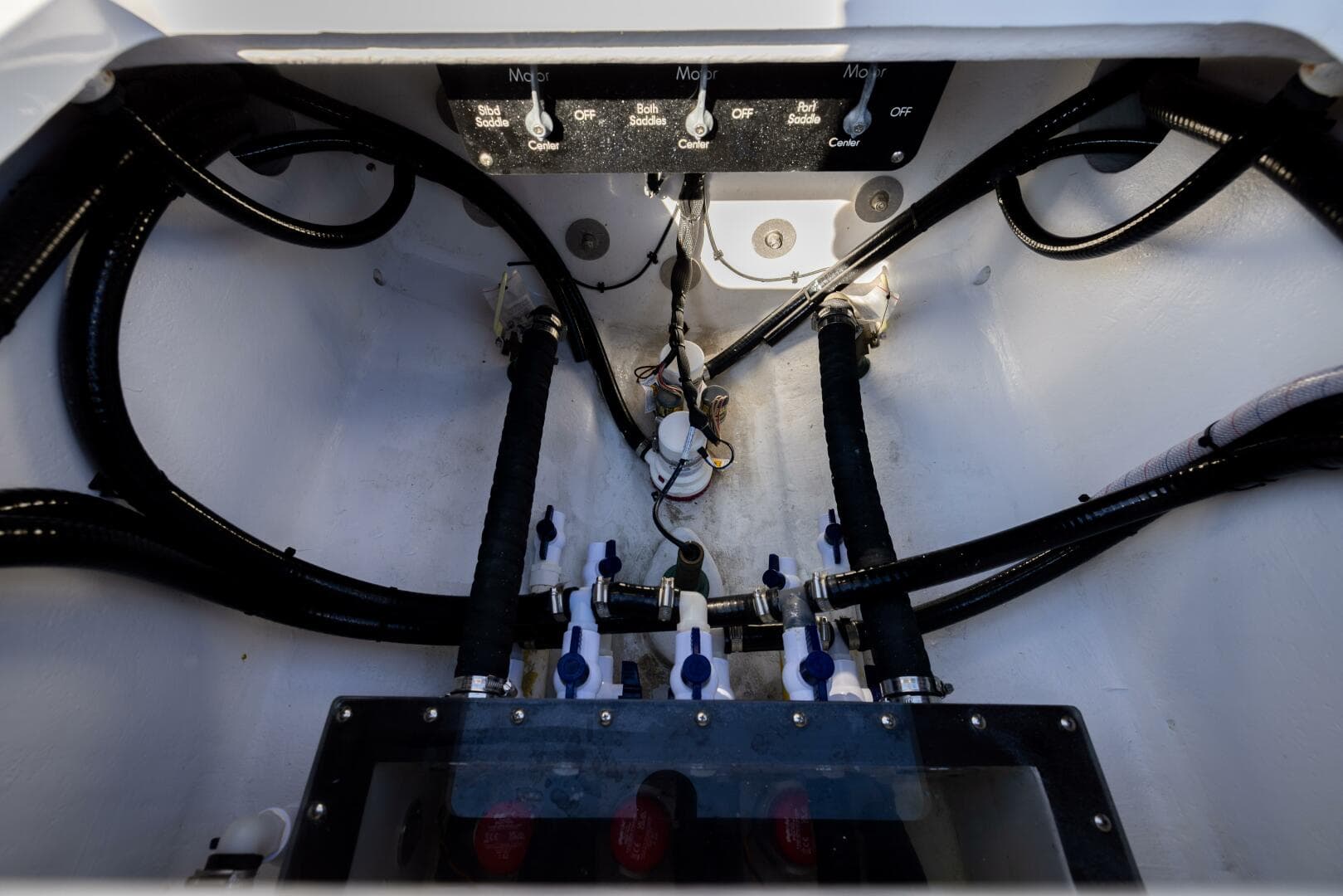 2025 Conch — photo 78