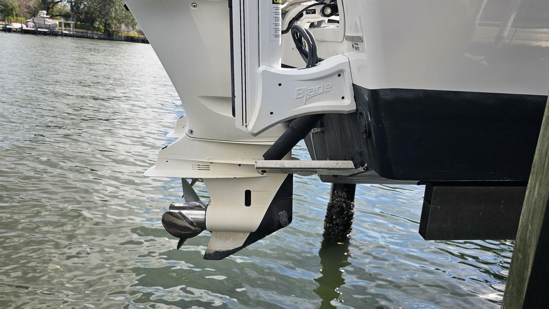 2021 Everglades 273 CC — photo 54