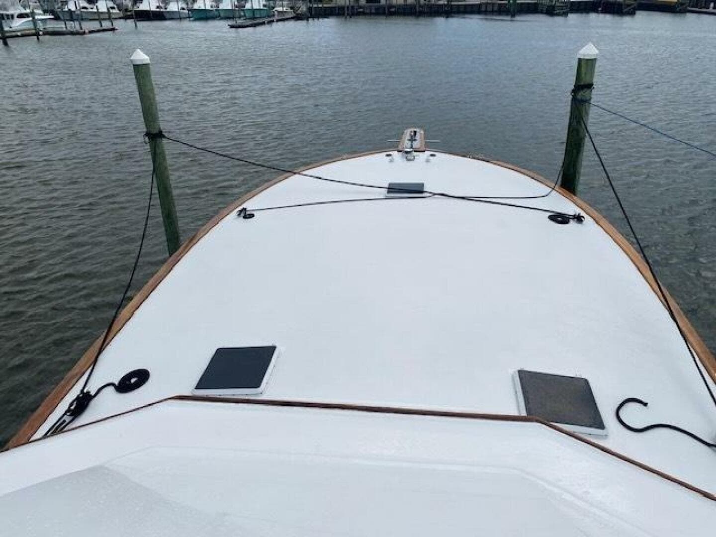 1989 Buddy Davis — photo 41