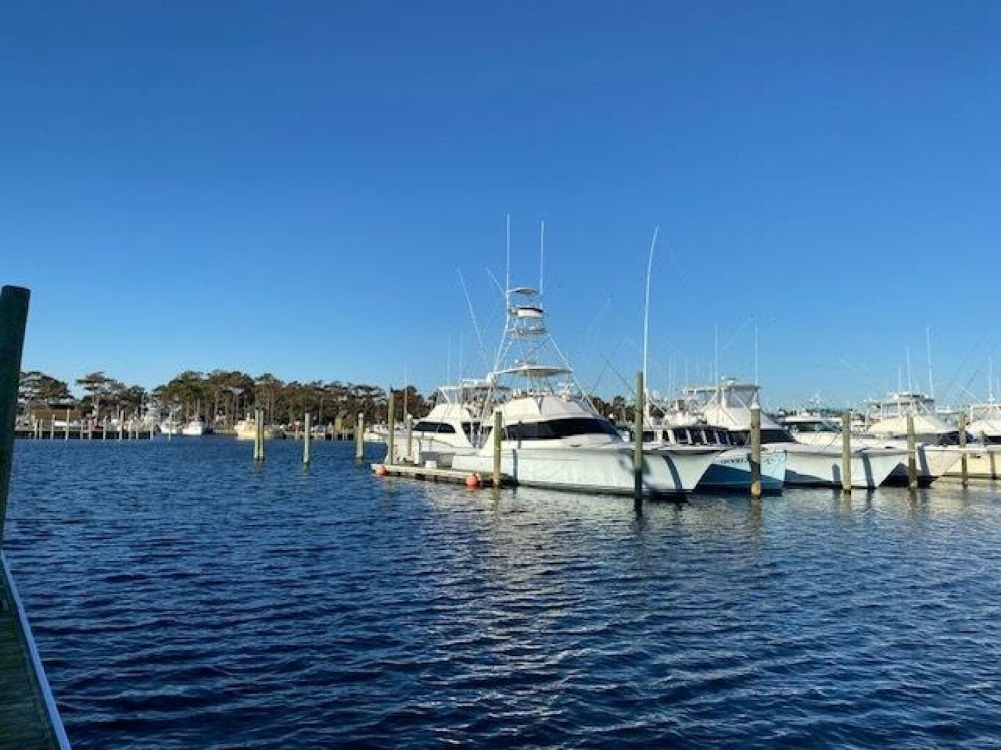 1988 Buddy Davis Custom Carolina — photo 4