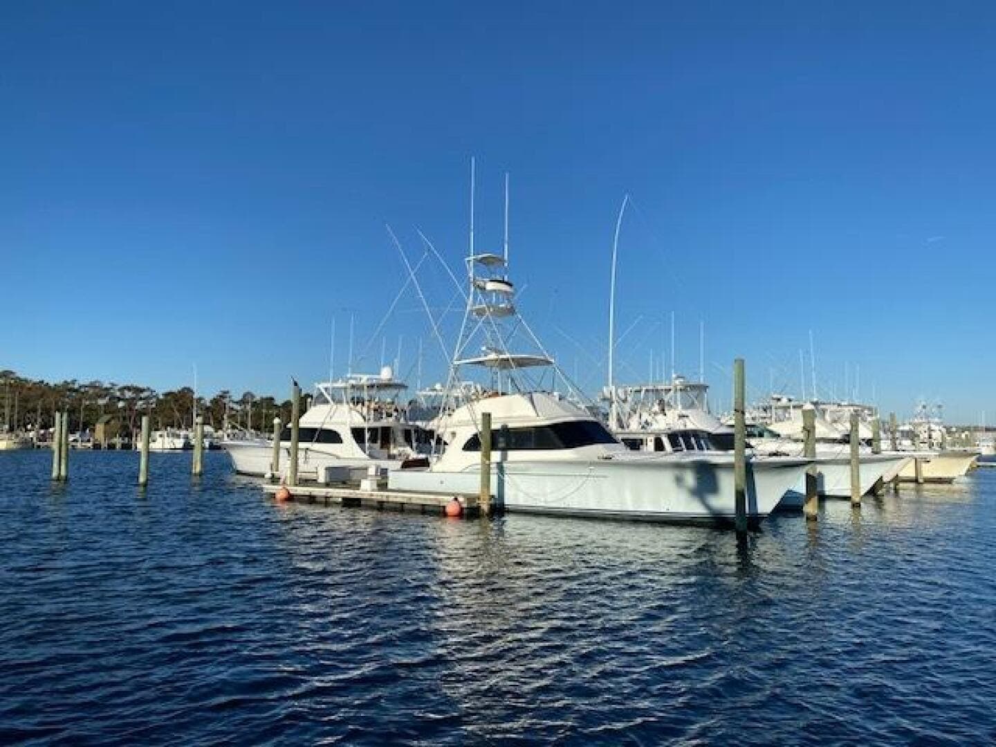 1988 Buddy Davis Custom Carolina — photo 3