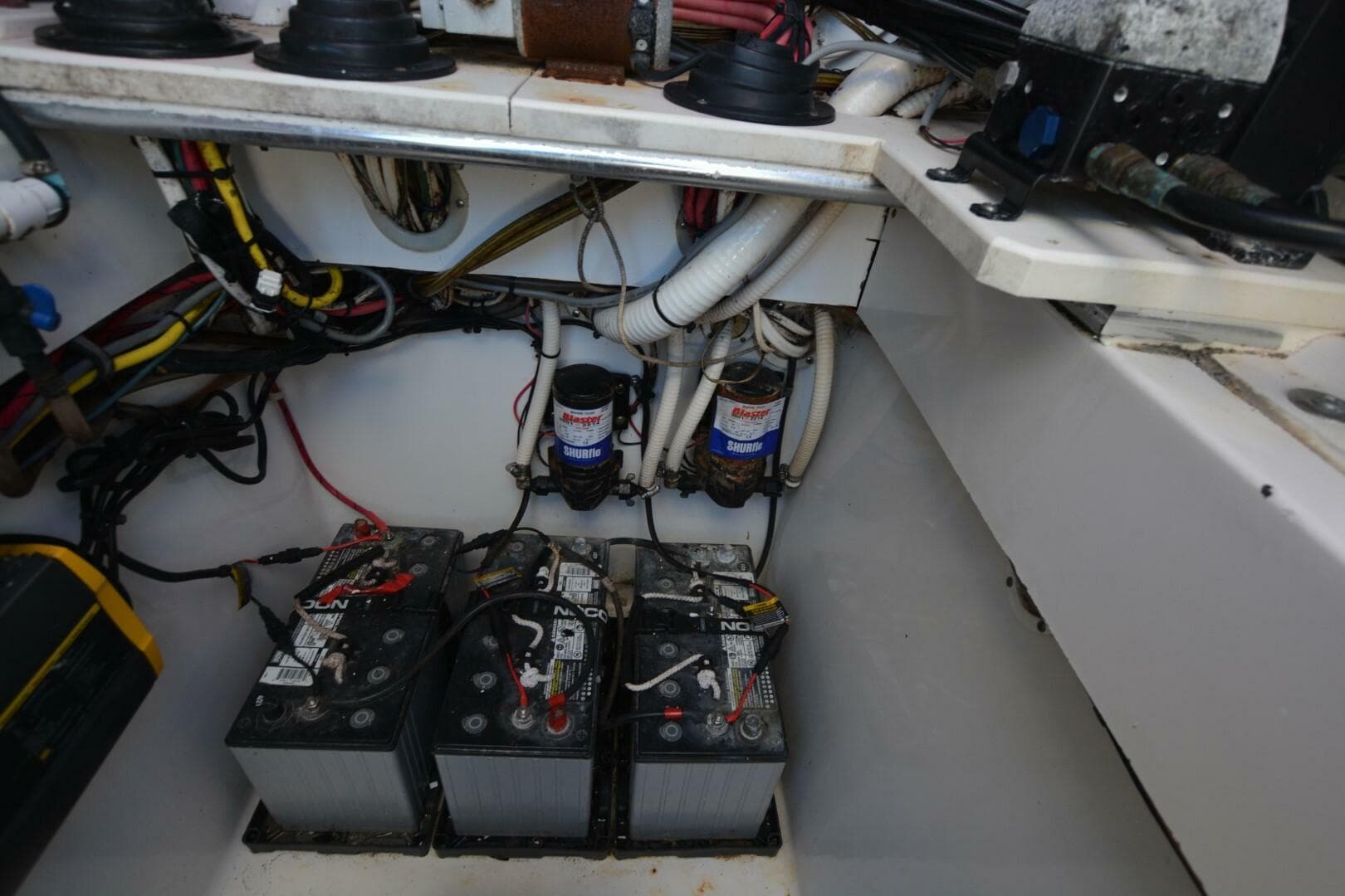 2006 Contender 33 Tournament — photo 6