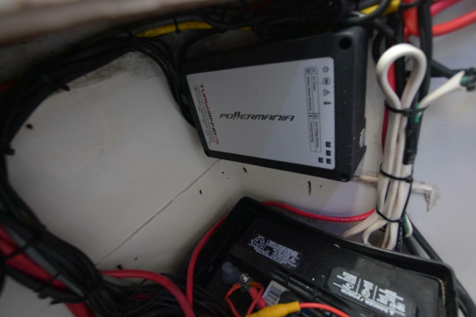 2006 Contender 33 Tournament — photo 19